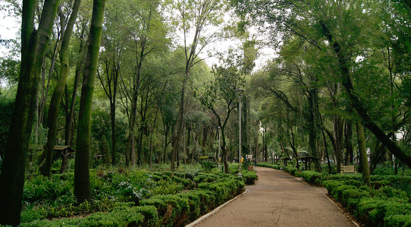 Parque mexico